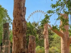 -石家庄市植物园