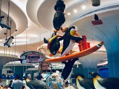 -帝企鹅自助餐厅•儿童岛•真企鹅(长隆企鹅酒店)