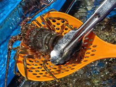 -永辉超市(福州市大儒世家店)