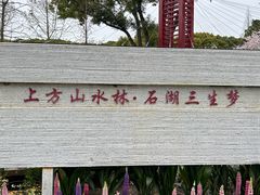 -苏州上方山国家森林公园