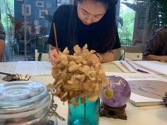 -六出私塾LiuChu•成人美术书法系统课程专业画室(熊婆婆的花园店)
