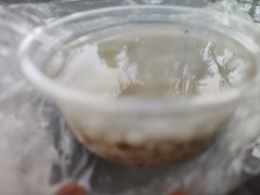 -潘玉麟糖粥