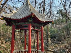 -灵谷景区