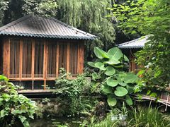 -大妙火锅·非物质文化遗产(东湖公园店)