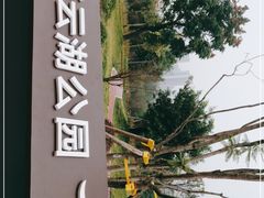 -重庆彩云湖湿地公园