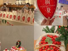 -树夏(建设路店)