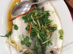 -天天海鲜城·海鲜大排档(新溪店)