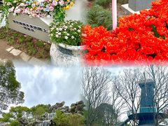 -上海鲜花港