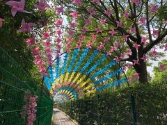 -自然谷恐龙园