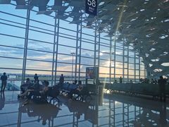 -陈鹏鹏潮汕菜(宝安机场T3航站楼店)