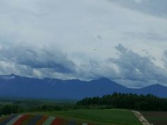 -富田农场