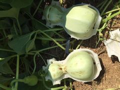 -优速得3D打印店(朝阳店)