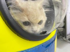 -达爱动物医院·犬猫分区·CT·复杂眼科(远洋山水分院)