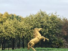 -广东花都香草世界旅游度假区
