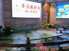 -楚鱼王·河鲜·湖北菜(华农店)