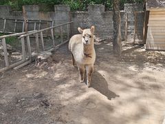 -铜川市金锁关石林