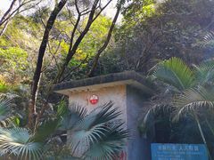 -梧桐山风景名胜区