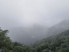 -少华山国家森林公园