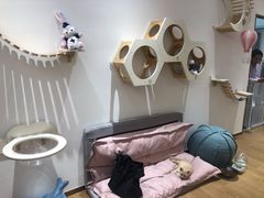 -1013 PET SHOP精品宠物商店(丁香店)
