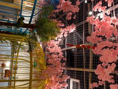 -椰贝原味椰子鸡(江南万达店)