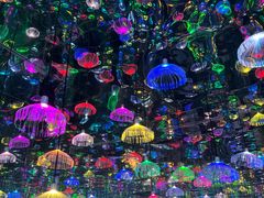 -上海梵高星空艺术馆(南京路旗舰店)