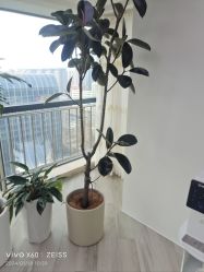 -HEYAN荷妍专业脱毛连锁机构