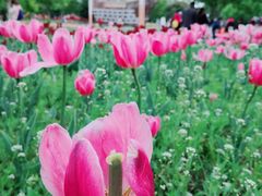 -长春公园(普阳街道)