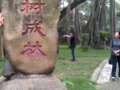 -瑞丽独树成林风景区