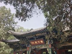 -晋祠公园