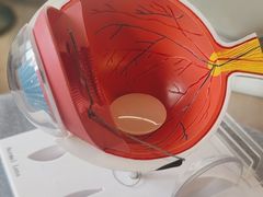 -武汉大学附属爱尔眼科医院(湖北总院)