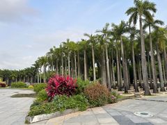 -深圳国际园林花卉博览园