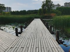 -马家湾湿地公园