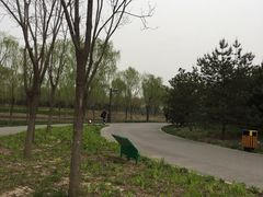 -东郊湿地公园