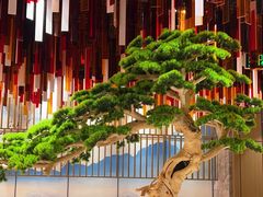 -青水瓦台汤泉(未央店)