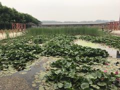 -河北村民俗体验园