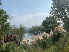 -酒仙湖景区