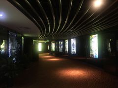 -上海金逸影城(静安大悦城店（原新恒星影城）)