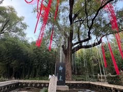 -淄博聊斋城景区