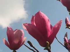 -海珠湖公园