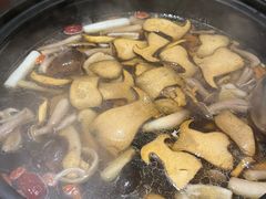 -滇野云南野生菌餐厅(陕西南路店)