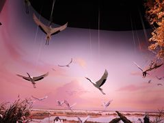 -中国湿地博物馆