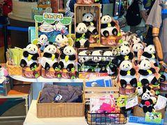 -香港海洋公园