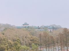 -武汉大学-樱园