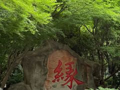 -杭州黄龙洞