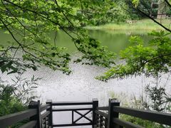 -白马涧龙池景区