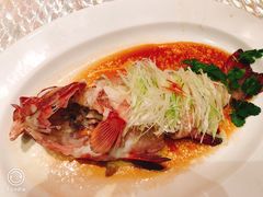 -8餐厅(新葡京酒店)