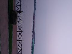 -丁香湖公园