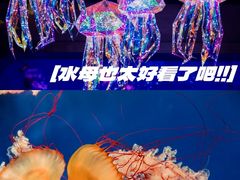 -正佳极地海洋世界
