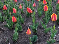 -长春公园(普阳街道)