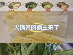 -芭夯兔·兔肉汤锅(新都店)